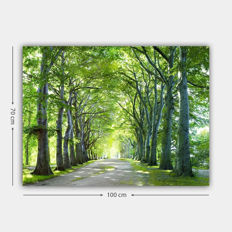 Canvas taulu 70x100 cm - Kaunis puiden muodostama kujanne luo rauhallisen ja kutsuvan polun - Vihreä / Vaaleanvihreä / Ruskea - Sisustustuotteet - Taulu & taide - Canvas-taulu