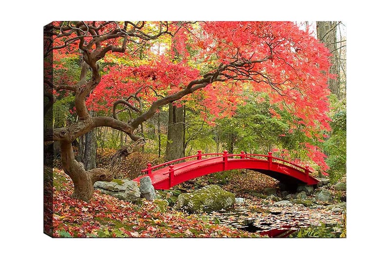Canvas taulu 70x100 cm - Kaunis punainen silta syksyn väristen puiden ja lehtien ympäröimänä, Punainen / Vihreä / Ruskea
