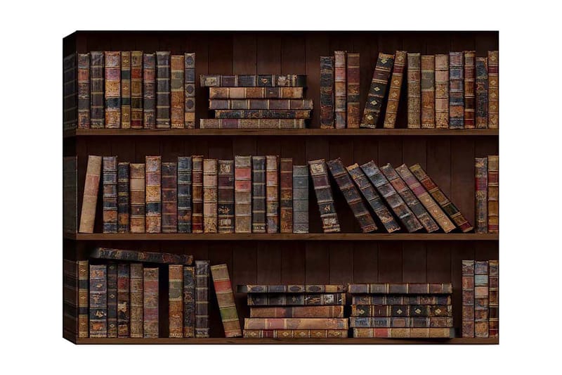 Canvas taulu 70x100 cm - Kirjahylly täynnä vanhoja kirjoja eri kokoisina ja värisinä, Tummanruskea / Beige / Tummanvihreä