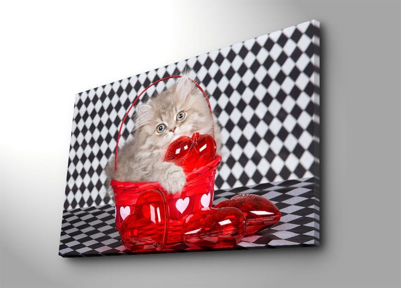 Canvas taulu 70x100 cm - Kissanpentu istuu punaisessa korissa, joka on täynnä sydämenmuotoisia koristeita - Punainen / Harmaa - Sisustustuotteet - Taulu & taide - Canvas-taulu