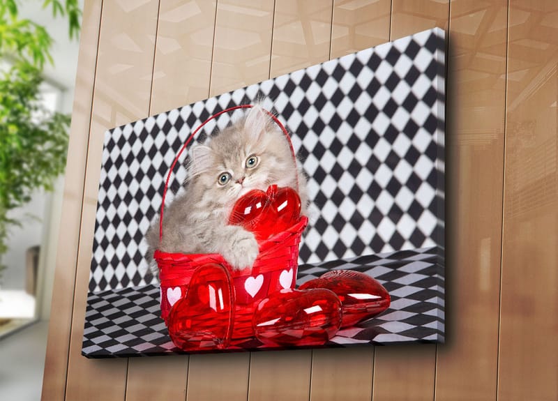 Canvas taulu 70x100 cm - Kissanpentu istuu punaisessa korissa, joka on täynnä sydämenmuotoisia koristeita - Punainen / Harmaa - Sisustustuotteet - Taulu & taide - Canvas-taulu