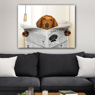 Canvas taulu 70x100 cm - Koira lukee sanomalehteä Daily Dog uteliaana - Ruskea / Musta - Sisustustuotteet - Taulu & taide - Canvas-taulu