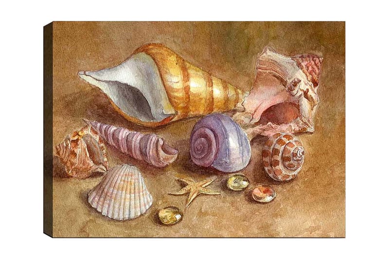 Canvas taulu 70x100 cm - Kokoelma simpukoita ja kiviä pehmeissä, luonnollisissa väreissä, Beige / Violetti / Oranssi