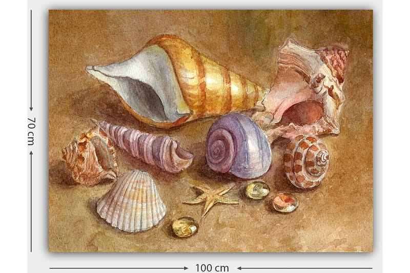 Canvas taulu 70x100 cm - Kokoelma simpukoita ja kiviä pehmeissä, luonnollisissa väreissä - Beige / Violetti / Oranssi - Sisustustuotteet - Taulu & taide - Canvas-taulu