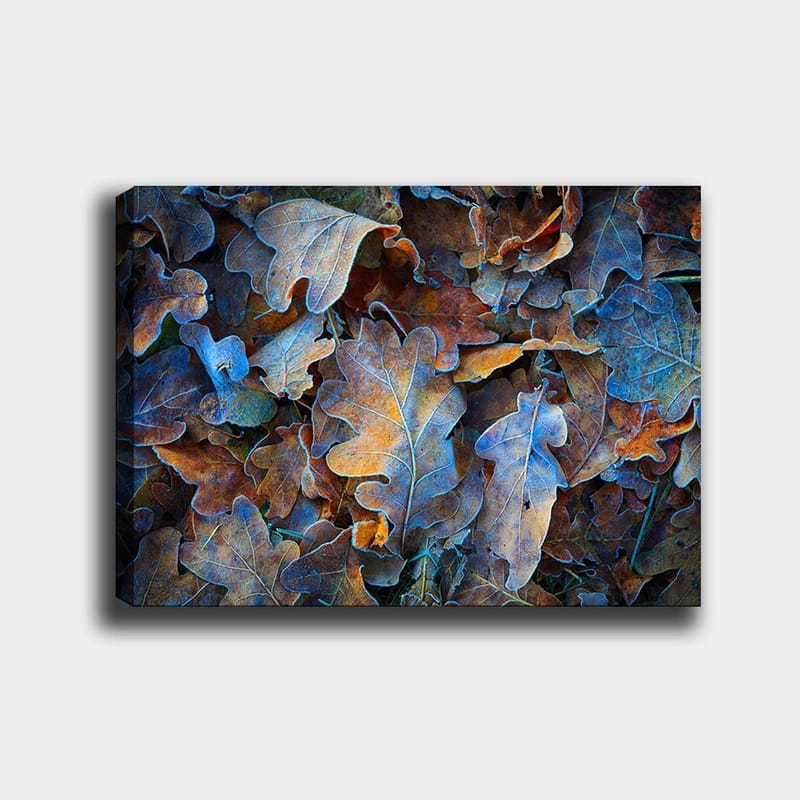 Canvas taulu 70x100 cm - Kokoelma värikkäitä tammenlehtiä eri sävyissä, jotka luovat harmonisen ja luonnollisen sommitelman, Sininen / Oranssi / Ruskea