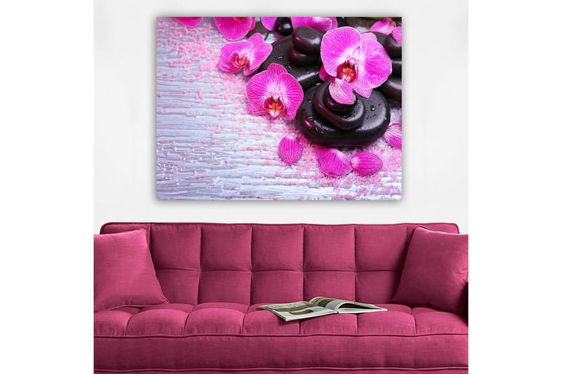 Canvas taulu 70x100 cm - Kokoelma violetteja orkideoita ja mustia kiviä vaalealla taustalla - Violetti / Musta - Sisustustuotteet - Taulu & taide - Canvas-taulu
