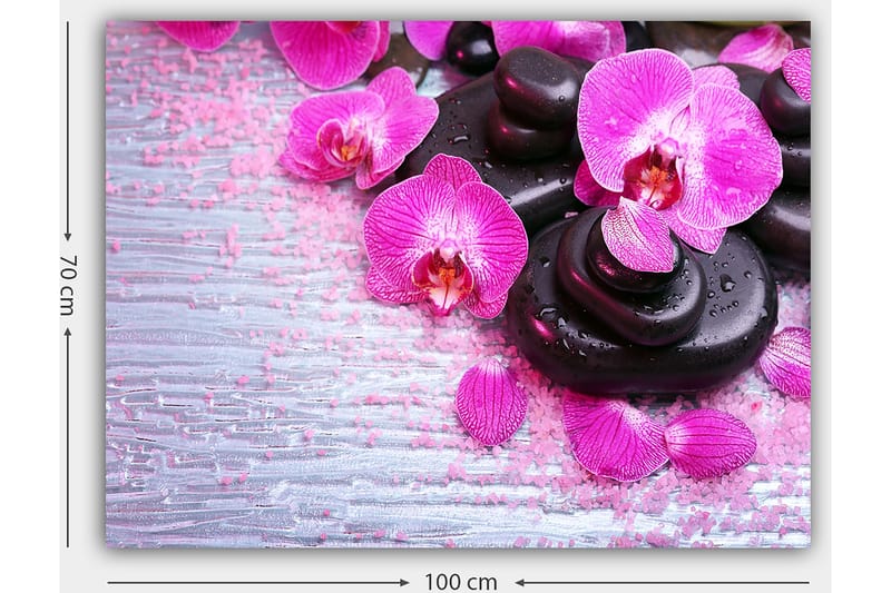 Canvas taulu 70x100 cm - Kokoelma violetteja orkideoita ja mustia kiviä vaalealla taustalla - Violetti / Musta - Sisustustuotteet - Taulu & taide - Canvas-taulu