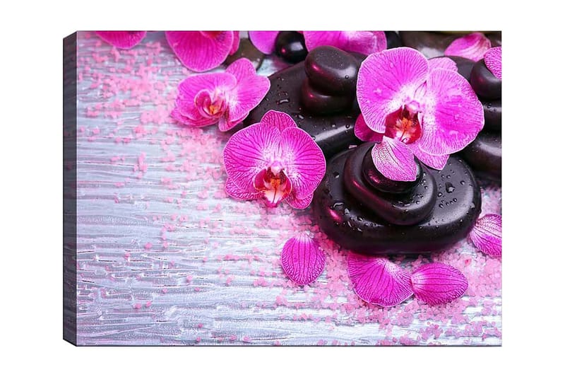 Canvas taulu 70x100 cm - Kokoelma violetteja orkideoita ja mustia kiviä vaalealla taustalla, Violetti / Musta