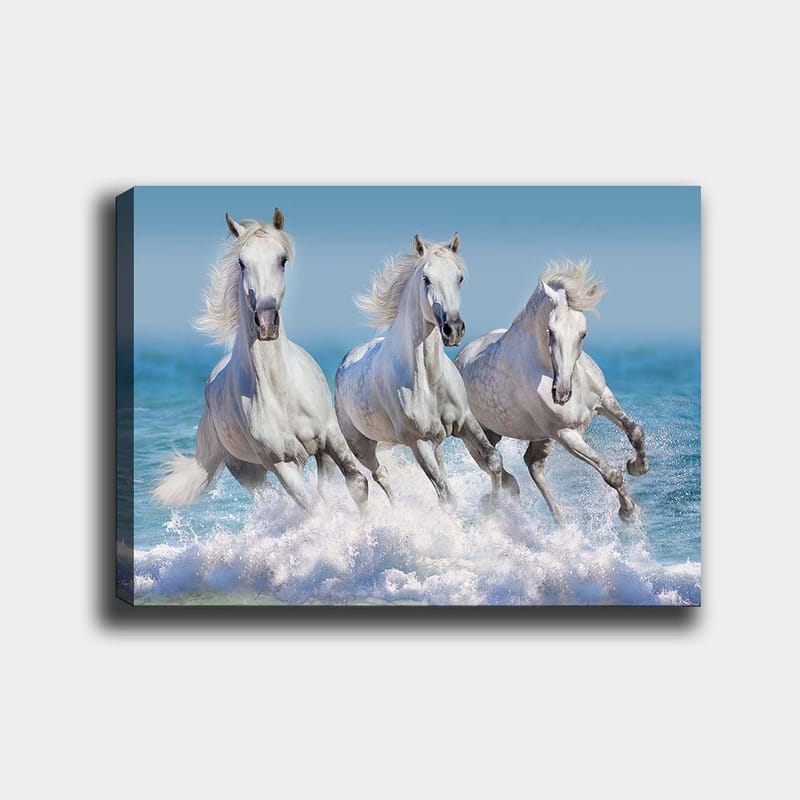 Canvas taulu 70x100 cm - Kolme valkoista hevosta laukkaa aaltojen läpi meren rannalla, Valkoinen / Vaaleansininen / Turkoosi