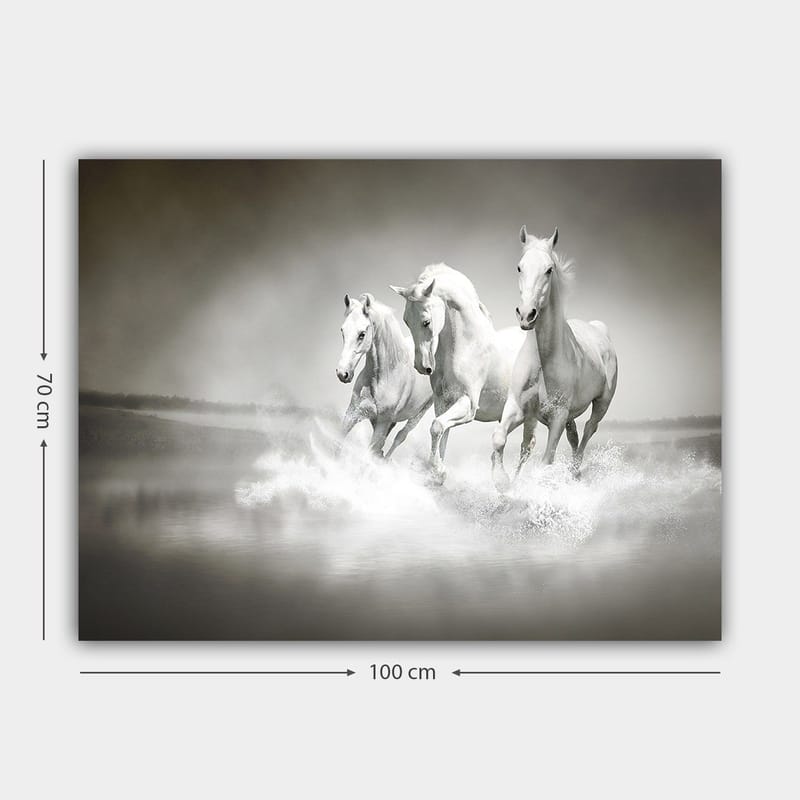 Canvas taulu 70x100 cm - Kolme valkoista hevosta laukkaa veden läpi - Valkoinen / Harmaa - Sisustustuotteet - Taulu & taide - Canvas-taulu
