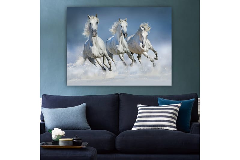Canvas taulu 70x100 cm - Kolme valkoista hevosta laukkaamassa veden läpi - Valkoinen / Vaaleansininen - Sisustustuotteet - Taulu & taide - Canvas-taulu