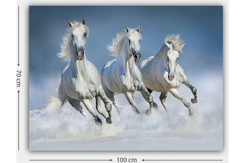 Canvas taulu 70x100 cm - Kolme valkoista hevosta laukkaamassa veden läpi - Valkoinen / Vaaleansininen - Sisustustuotteet - Taulu & taide - Canvas-taulu
