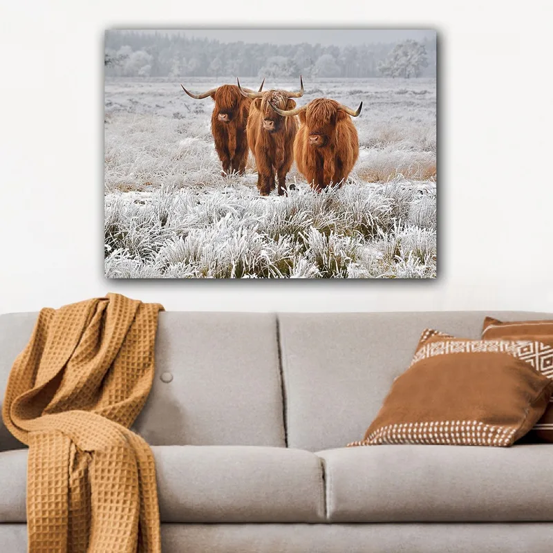 Canvas taulu 70x100 cm - Kolme ylämaanlammasta pakkasmaisemassa, Oranssi / Valkoinen / Harmaa