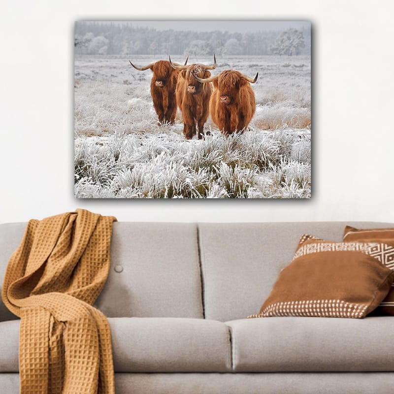 Canvas taulu 70x100 cm - Kolme ylämaanlammasta pakkasmaisemassa, Oranssi / Valkoinen / Harmaa