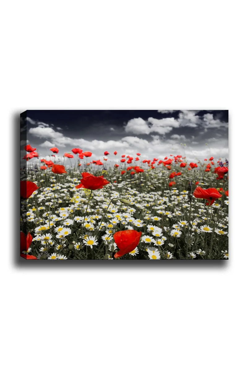 Canvas taulu 70x100 cm - Kukkaisniitty, jossa on punaisia unikkoja ja valkoisia päivänkakkaroita luomassa kontrastin ja eloisan sommitelman, Punainen / Valkoinen