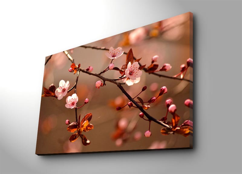 Canvas taulu 70x100 cm - Kukkivat kirsikanoksat vaaleanpunaisilla kukilla ja ruskeilla lehdillä, Vaaleanpunainen / Ruskea