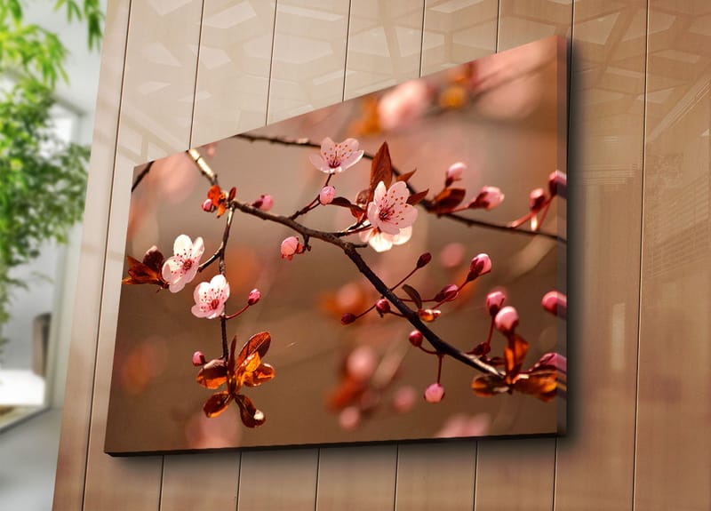Canvas taulu 70x100 cm - Kukkivat kirsikanoksat vaaleanpunaisilla kukilla ja ruskeilla lehdillä - Vaaleanpunainen / Ruskea - Sisustustuotteet - Taulu & taide - Canvas-taulu