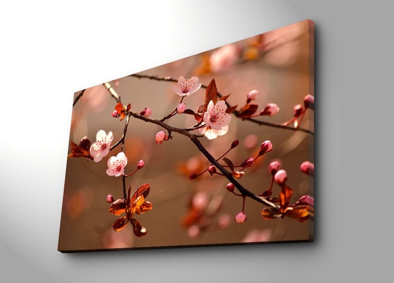 Canvas taulu 70x100 cm - Kukkivat kirsikanoksat vaaleanpunaisilla kukilla ja ruskeilla lehdillä, Vaaleanpunainen / Ruskea