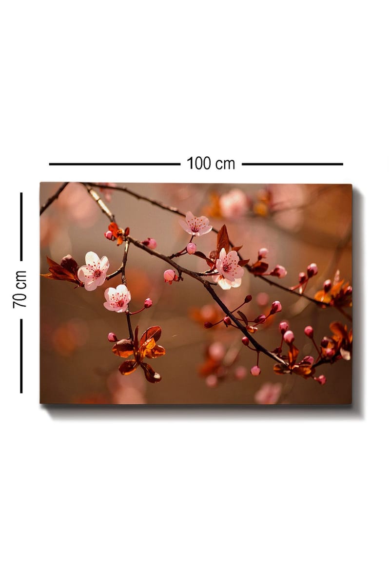 Canvas taulu 70x100 cm - Kukkivat kirsikanoksat vaaleanpunaisilla kukilla ja silmuilla - Vaaleanpunainen / Ruskea / Tummanpunainen - Sisustustuotteet - Taulu & taide - Canvas-taulu