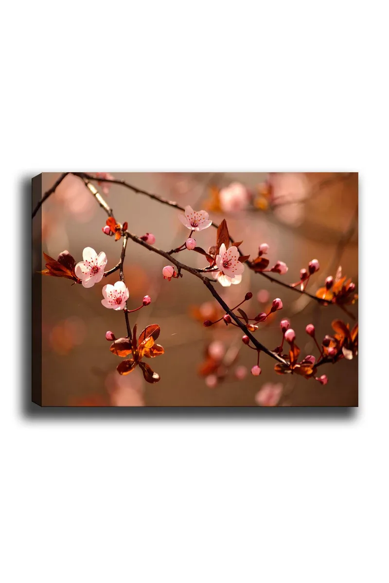 Canvas taulu 70x100 cm - Kukkivat kirsikanoksat vaaleanpunaisilla kukilla ja silmuilla, Vaaleanpunainen / Ruskea / Tummanpunainen
