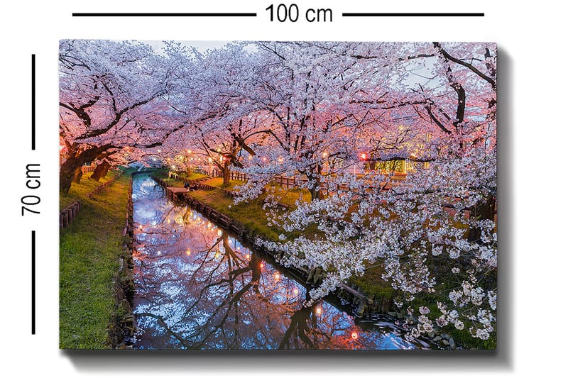 Canvas taulu 70x100 cm - Kukkivia kirsikkapuita hiljaisen kanavan rannalla hämärässä - Vaaleanpunainen / Valkoinen / Vihreä - Sisustustuotteet - Taulu & taide - Canvas-taulu