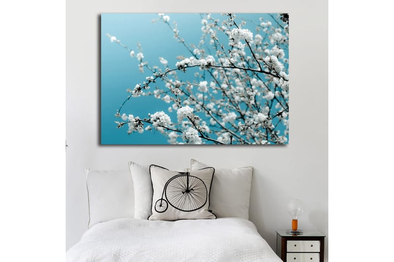 Canvas taulu 70x100 cm - Kukkivia oksia kirkasta, sinistä taustaa vasten - Valkoinen / Vaaleansininen - Sisustustuotteet - Taulu & taide - Canvas-taulu