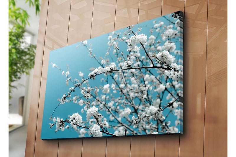 Canvas taulu 70x100 cm - Kukkivia oksia kirkasta, sinistä taustaa vasten - Valkoinen / Vaaleansininen - Sisustustuotteet - Taulu & taide - Canvas-taulu