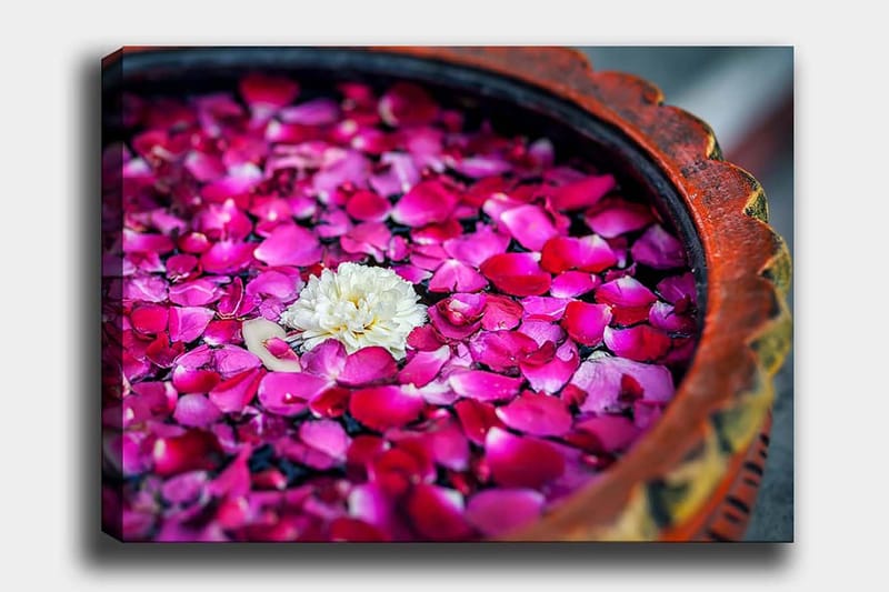 Canvas taulu 70x100 cm - Kulho vaaleanpunaisilla ruusun terälehdillä ja pinnalla kelluva valkoinen kukka, Vaaleanpunainen / Valkoinen