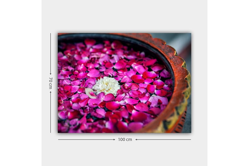 Canvas taulu 70x100 cm - Kulho vaaleanpunaisilla ruusun terälehdillä ja pinnalla kelluva valkoinen kukka - Vaaleanpunainen / Valkoinen - Sisustustuotteet - Taulu & taide - Canvas-taulu