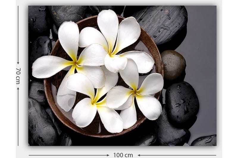 Canvas taulu 70x100 cm - Kulho valkoisilla kukilla ja mustilla kivillä - Valkoinen / Musta / Keltainen - Sisustustuotteet - Taulu & taide - Canvas-taulu