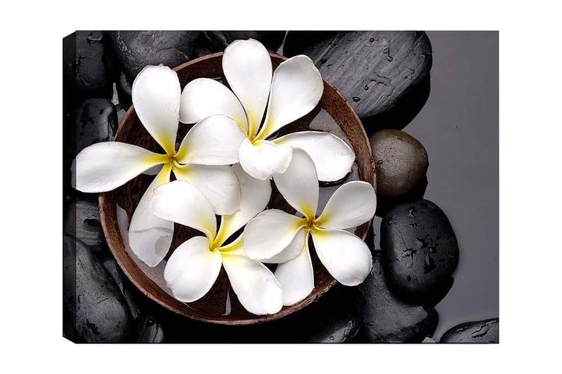 Canvas taulu 70x100 cm - Kulho valkoisilla kukilla ja mustilla kivillä, Valkoinen / Musta / Keltainen