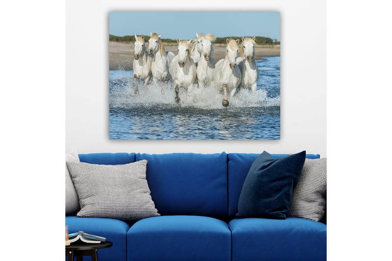 Canvas taulu 70x100 cm - Kuusi valkoista hevosta laukkaamassa veden läpi - Valkoinen / Vaaleanvaalea - Sisustustuotteet - Taulu & taide - Canvas-taulu