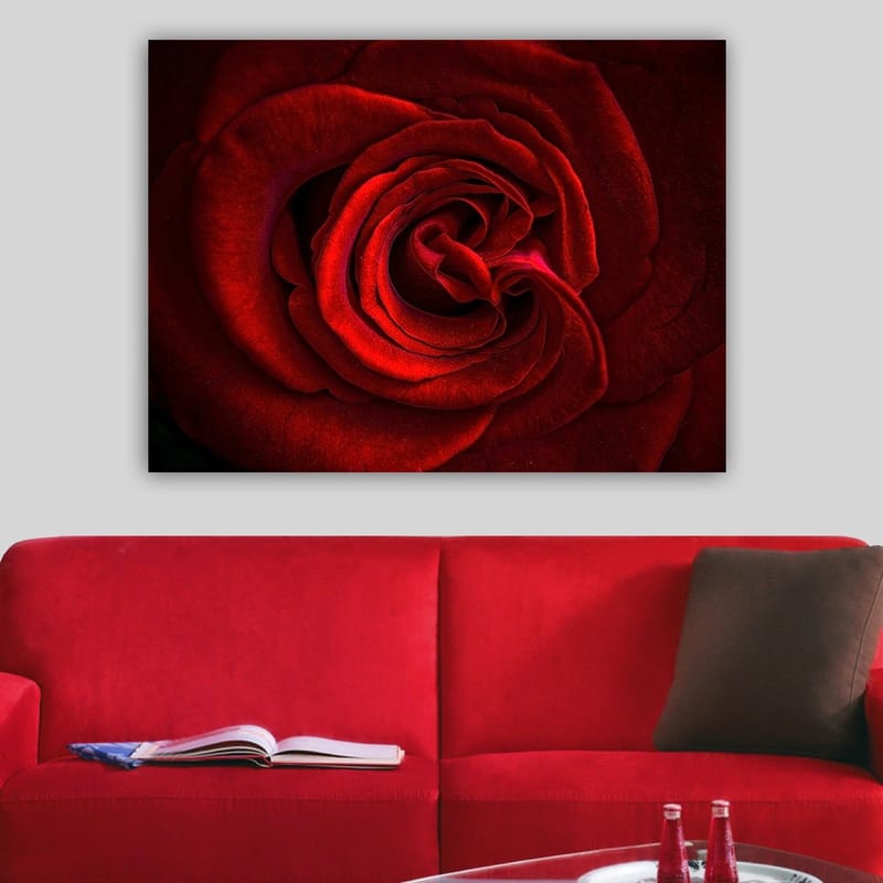 Canvas taulu 70x100 cm - Lähikuva kauniista punaisesta ruususta yksityiskohtaisine terälehdillä - Punainen / Tummanpunainen - Sisustustuotteet - Taulu & taide - Canvas-taulu