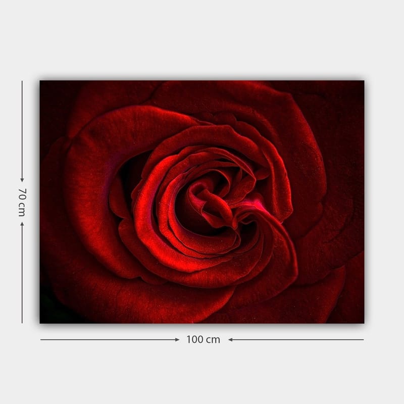 Canvas taulu 70x100 cm - Lähikuva kauniista punaisesta ruususta yksityiskohtaisine terälehdillä - Punainen / Tummanpunainen - Sisustustuotteet - Taulu & taide - Canvas-taulu
