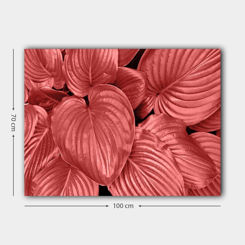Canvas taulu 70x100 cm - Lähikuva komeista, punaisista lehdistä, joissa on selkeät suonet - Punainen / Musta - Sisustustuotteet - Taulu & taide - Canvas-taulu