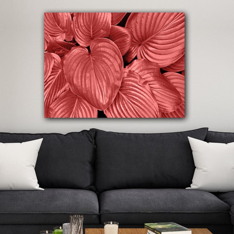 Canvas taulu 70x100 cm - Lähikuva komeista, punaisista lehdistä, joissa on selkeät suonet - Punainen / Musta - Sisustustuotteet - Taulu & taide - Canvas-taulu