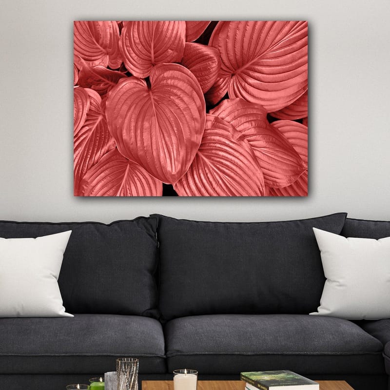 Canvas taulu 70x100 cm - Lähikuva komeista, punaisista lehdistä, joissa on selkeät suonet - Punainen / Musta - Sisustustuotteet - Taulu & taide - Canvas-taulu