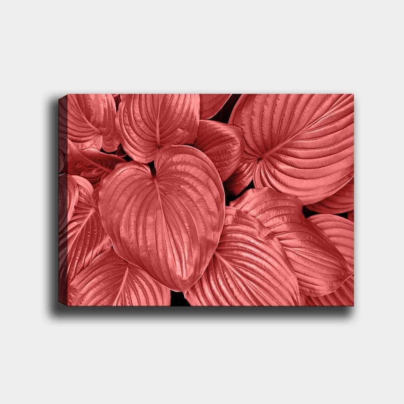 Canvas taulu 70x100 cm - Lähikuva komeista, punaisista lehdistä, joissa on selkeät suonet, Punainen / Musta