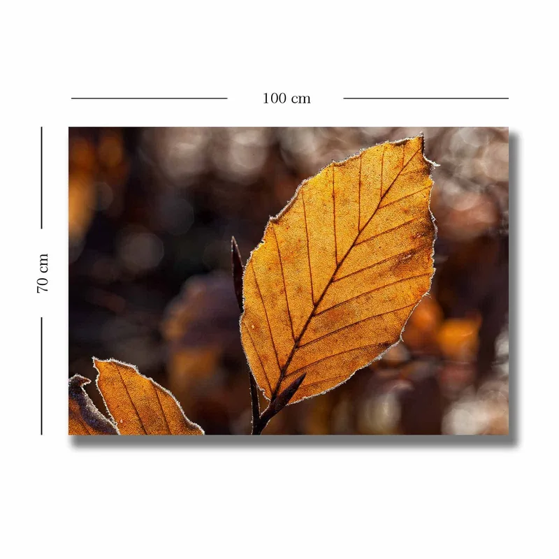 Canvas taulu 70x100 cm - Lähikuva kultaisesta syksyn lehdestä yksityiskohtaisine suonineen - Kultaoranssi / Ruskea - Sisustustuotteet - Taulu & taide - Canvas-taulu