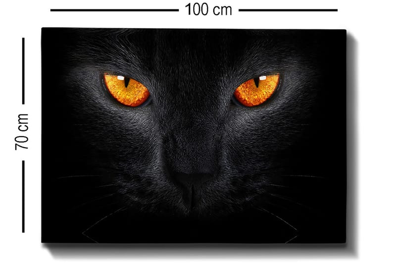 Canvas taulu 70x100 cm - Lähikuva mustasta kissan päästä ja sen intensiivisistä silmistä - Musta / Oranssi - Sisustustuotteet - Taulu & taide - Canvas-taulu