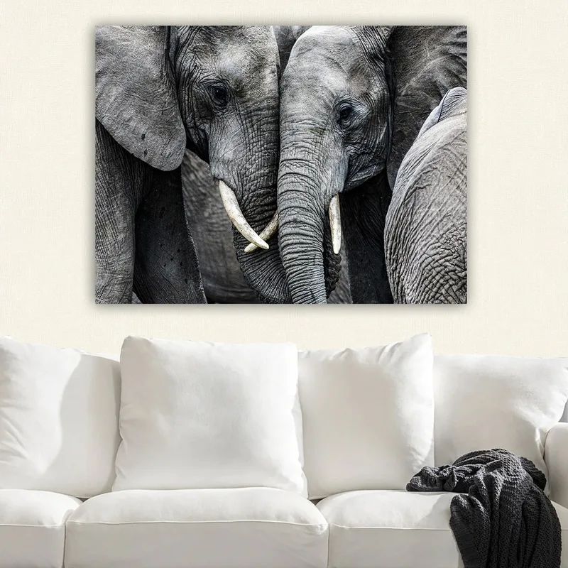 Canvas taulu 70x100 cm - Lähikuva norsuista, jotka näyttävät kasvojaan ja laiduntamassa intiimissä kokoontumisessa - Harmaa / Valkoinen - Sisustustuotteet - Taulu & taide - Canvas-taulu