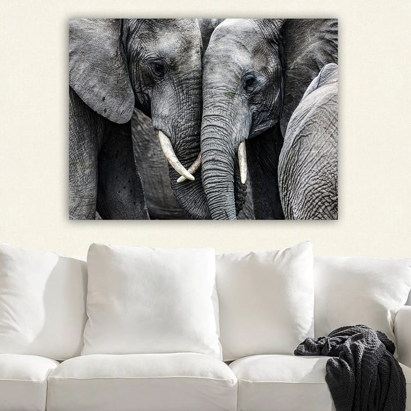 Canvas taulu 70x100 cm - Lähikuva norsuista, jotka näyttävät kasvojaan ja laiduntamassa intiimissä kokoontumisessa - Harmaa / Valkoinen - Sisustustuotteet - Taulu & taide - Canvas-taulu