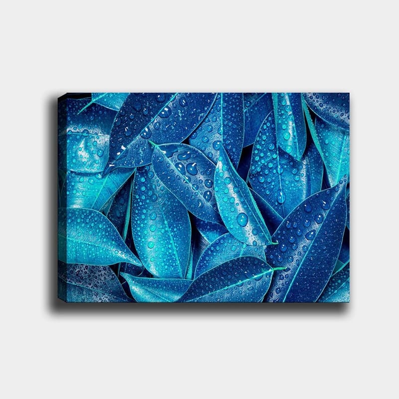 Canvas taulu 70x100 cm - Lähikuva vesipisaroista vihreillä lehdillä luoden raikkaan ja eloisan tunnelman, Sininen / Turkoosi