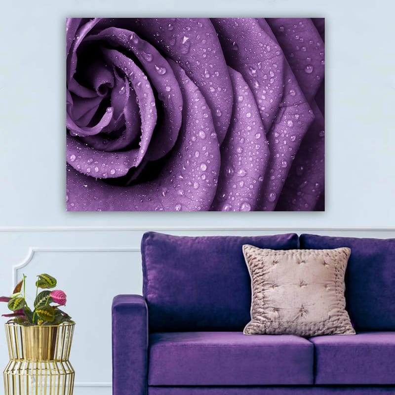 Canvas taulu 70x100 cm - Lähikuva violetista ruususta, jonka terälehdillä on vesipisaroita - Violetti / Tummanvioletti - Sisustustuotteet - Taulu & taide - Canvas-taulu