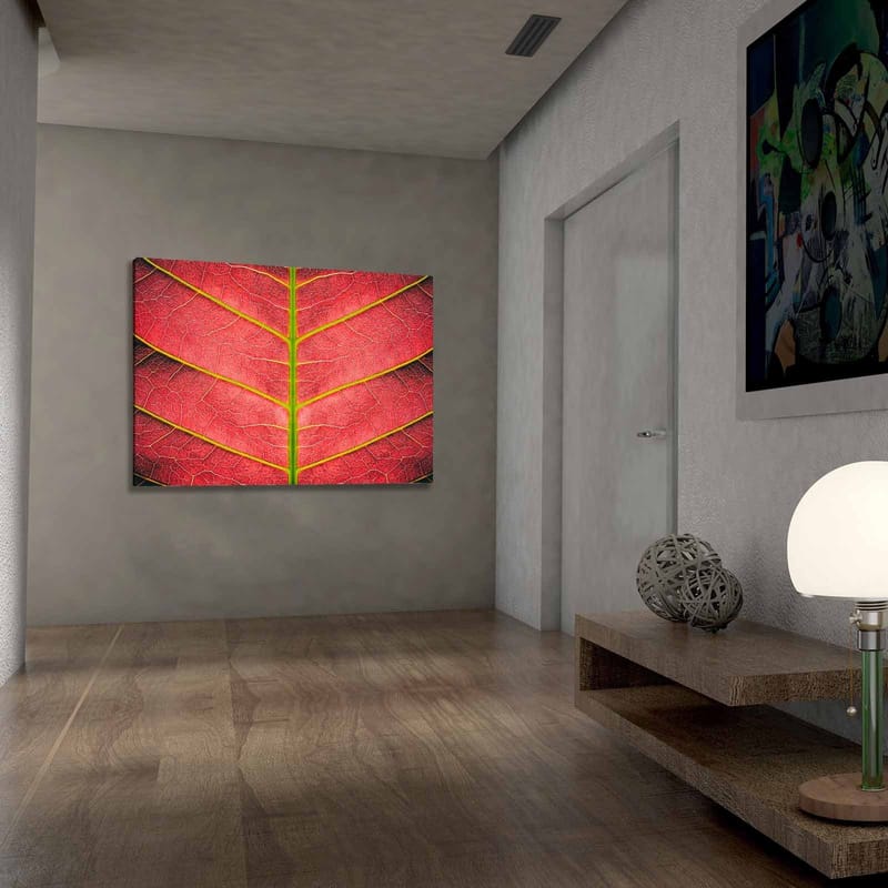 Canvas taulu 70x100 cm - Lähikuva punertavasta lehdestä yksityiskohtaisine suonineen - Punainen / Vihreä - Sisustustuotteet - Taulu & taide - Canvas-taulu