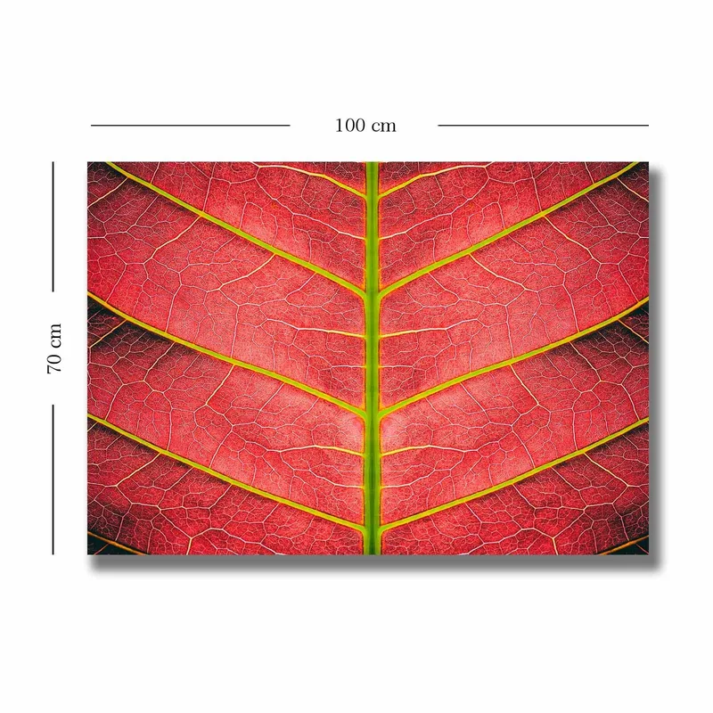 Canvas taulu 70x100 cm - Lähikuva punertavasta lehdestä yksityiskohtaisine suonineen - Punainen / Vihreä - Sisustustuotteet - Taulu & taide - Canvas-taulu