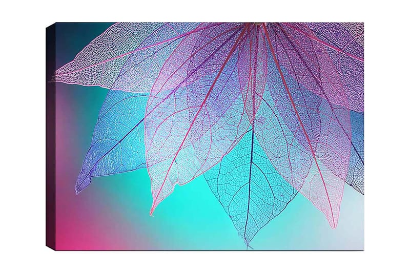 Canvas taulu 70x100 cm - Läpikuultavien lehtien abstrakti sommitelma harmonisella väripaletilla, Violetti / Turkoosi / Vaaleanpunainen