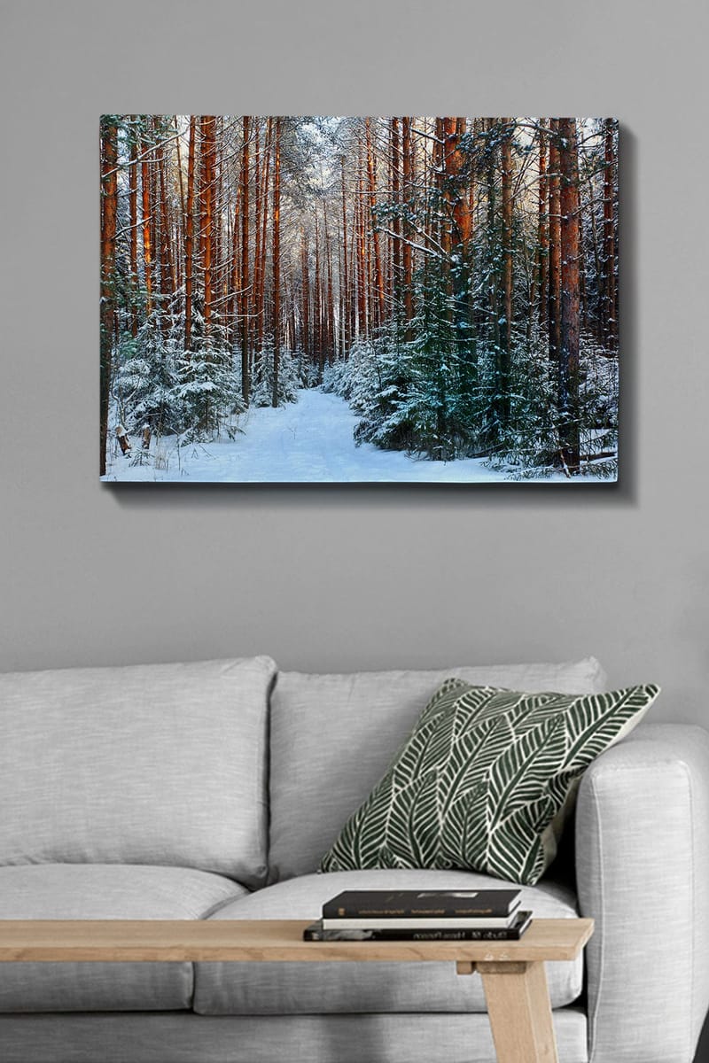Canvas taulu 70x100 cm - Luminen metsäpolku korkeiden, punertavanruskeiden mäntyjen ympäröimänä - Kastanjanruskea / Valkoinen / Vihreä - Sisustustuotteet - Taulu & taide - Canvas-taulu