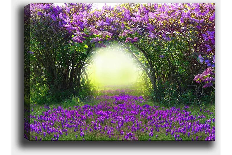 Canvas taulu 70x100 cm - Maaginen puutarha violeteilla kukilla, jotka johtavat kirkkaaseen vehreään tunneliin - Violetti / Vihreä / Keltainen - Sisustustuotteet - Taulu & taide - Canvas-taulu