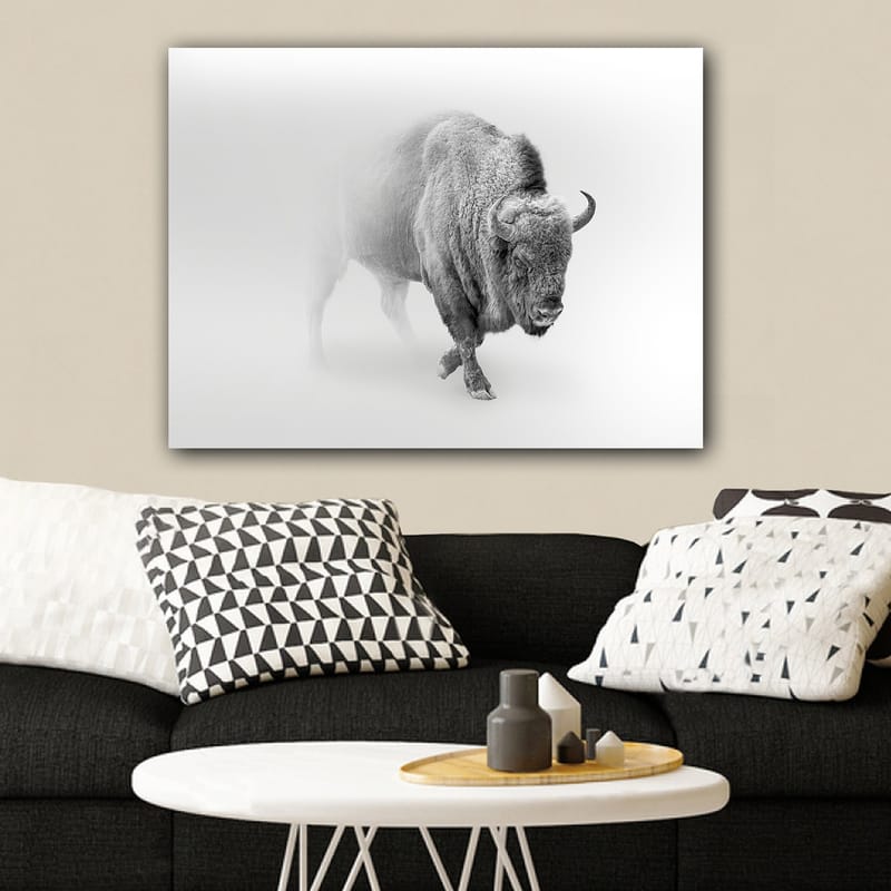Canvas taulu 70x100 cm - Majesteettinen biisoni kävelee sumussa - Harmaa / Valkoinen - Sisustustuotteet - Taulu & taide - Canvas-taulu